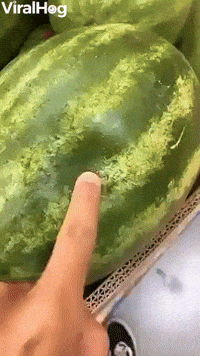 Poked Watermelon Squirts Juices