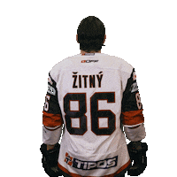 Hokej Zitny Sticker by HC '05 Banská Bystrica
