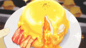 eggs GIF