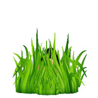 Hide Carloscarojr Sticker by Genies