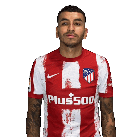 Champions League Football Sticker by Atlético de Madrid