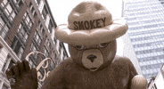 Macys Parade GIF by The 96th Macy’s Thanksgiving Day Parade