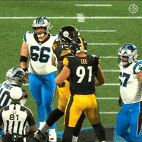 Nfl Preseason GIF by Pittsburgh Steelers