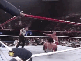 shawn michaels wrestling GIF by WWE