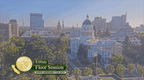 GIFcaucus giphygifmaker GIF