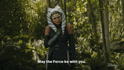 Star Wars Disney Plus GIF by Disney+