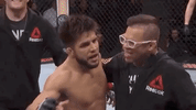 ufc fight night sport GIF by UFC