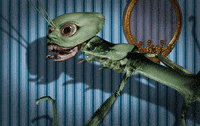 animation art GIF by Colin Raff