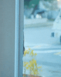 Hello GIF