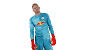 The Wall Football Sticker by RB Leipzig