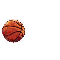 MILKO_DELTA basketball basket 34 milko Sticker