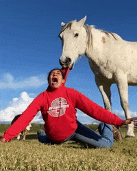 dezmineann fight black silly horse GIF