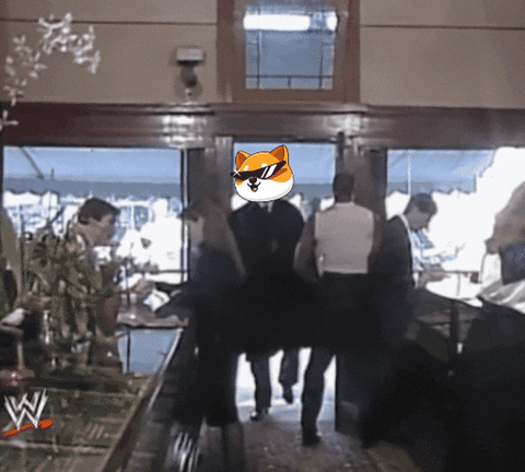 Money Crypto GIF by Baby Doge Coin