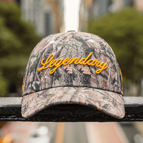 Head Hat GIF by VeeFriends