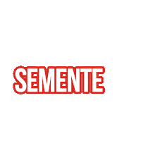 Semente Sticker by Bollgard