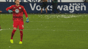Soccer Yes GIF by VfL Wolfsburg
