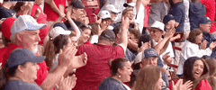 World Series Baseball GIF by NCAA Championships