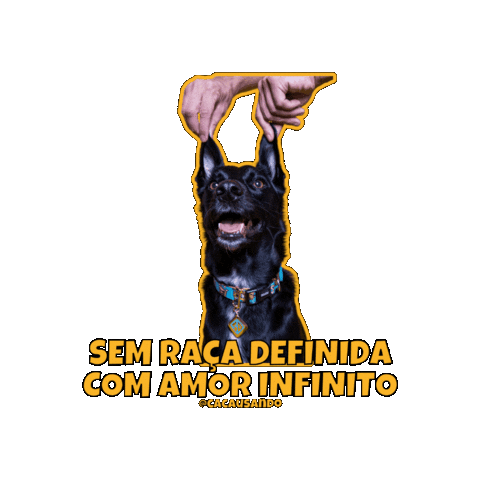 Dog Love Sticker