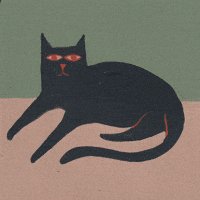 Cat Resting GIF
