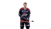 Ducs2026 Sticker by Les Ducs d'Angers