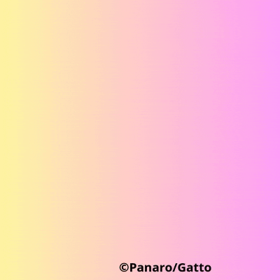 International Womens Day GIF