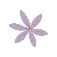 Fun Flower Sticker by Oxwhite_Official