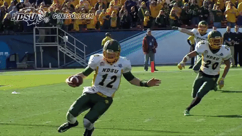 north dakota state football GIF by NDSU Athletics