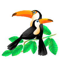 Tukan Sticker by Samo Toco