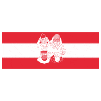 JungeGeneration austria democracy spoe fridays for future Sticker