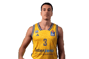Easycredit Bbl Sticker by ALBA BERLIN