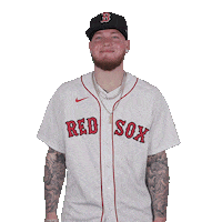 Red Sox Baseball Sticker by Boston Red Sox