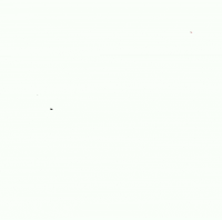 New Year GIF by midnightcake