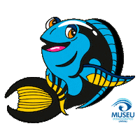 Polvo Mar Sticker by Universidade do Vale do Itajaí - Univali