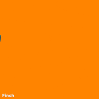 Happy Birthday Party GIF by Finch Care