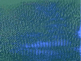 Once In A Lifetime GIF by Talking Heads