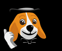 Dog Dogfood GIF by Mister Puss