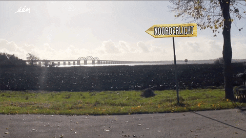 GIF by vrt