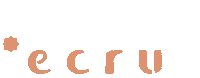 Design Star Sticker by ecruonline