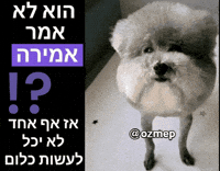 Dog Hebrew GIF