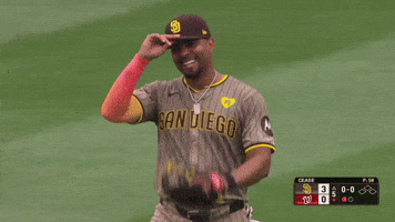 San Diego Padres Sport GIF by MLB