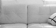 lesbian couple love GIF