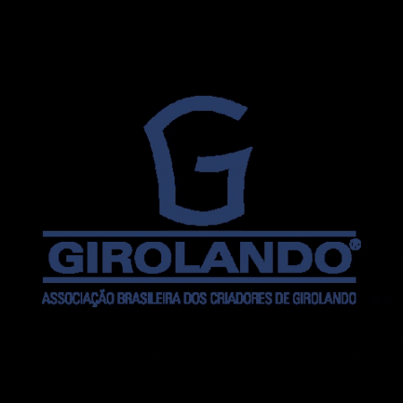 girolando giphyupload gado girolando GIF