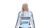 Handball-Bundesliga Stop Sticker by LIQUI MOLY HBL