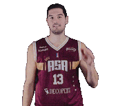 Basket Alliance Sticker by BC GRIES OBERHOFFEN