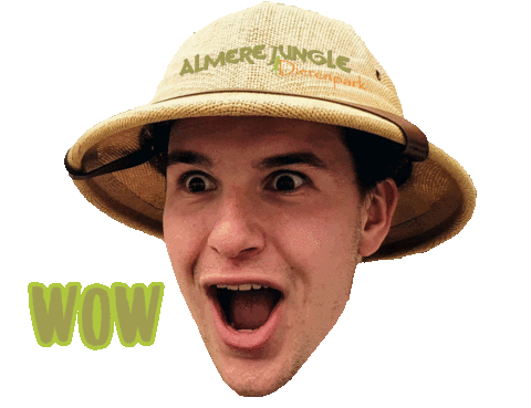 Fun Love Sticker by Almere Jungle