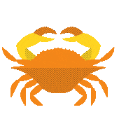College Park Crab Sticker by University of Maryland