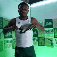 South Florida Horns Up GIF by USF Athletics