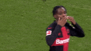 Bayer 04 Love GIF by Bayer 04 Leverkusen