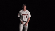 University Of Louisville Baseball GIF by Louisville Cardinals