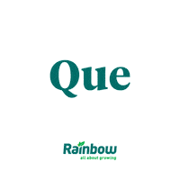 Fatorwow Sticker by rainbowagrobrasil